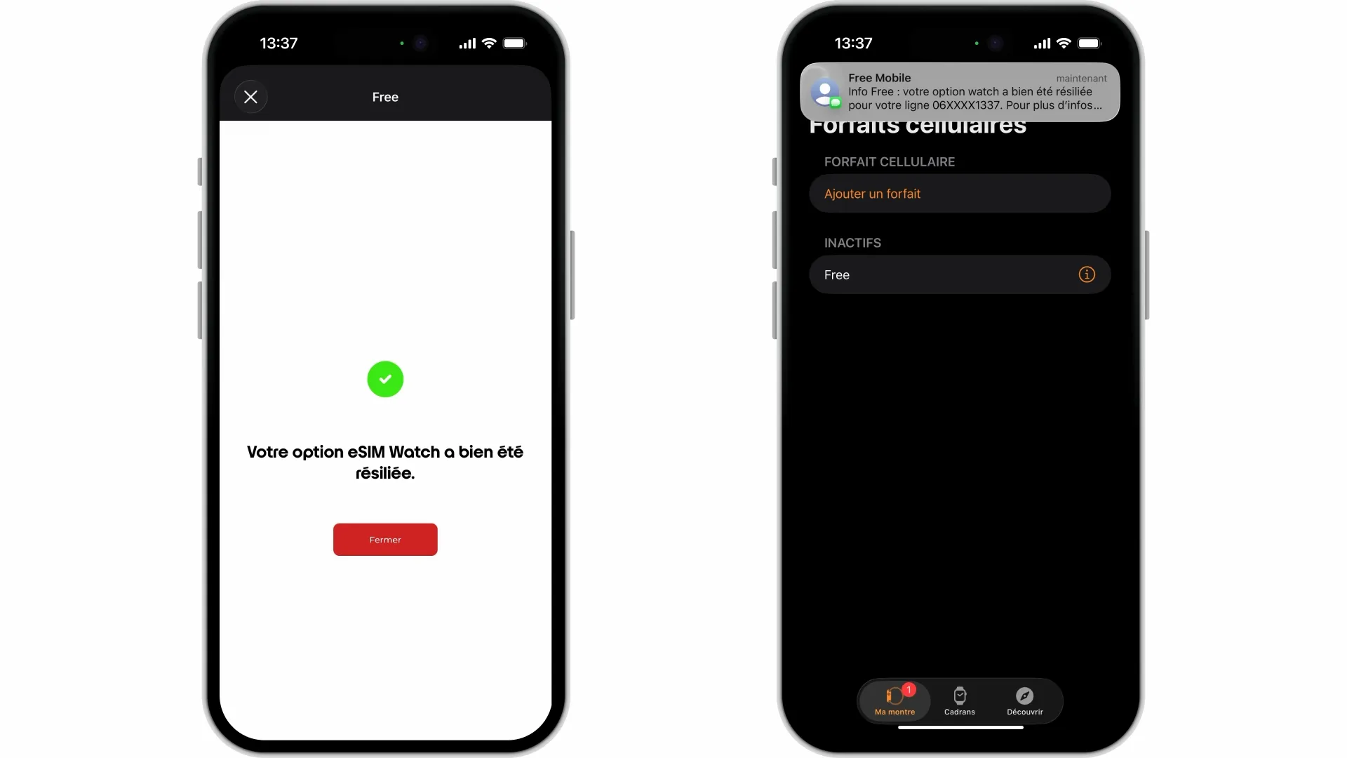 Comment résilier mon option eSIM Watch ? - null