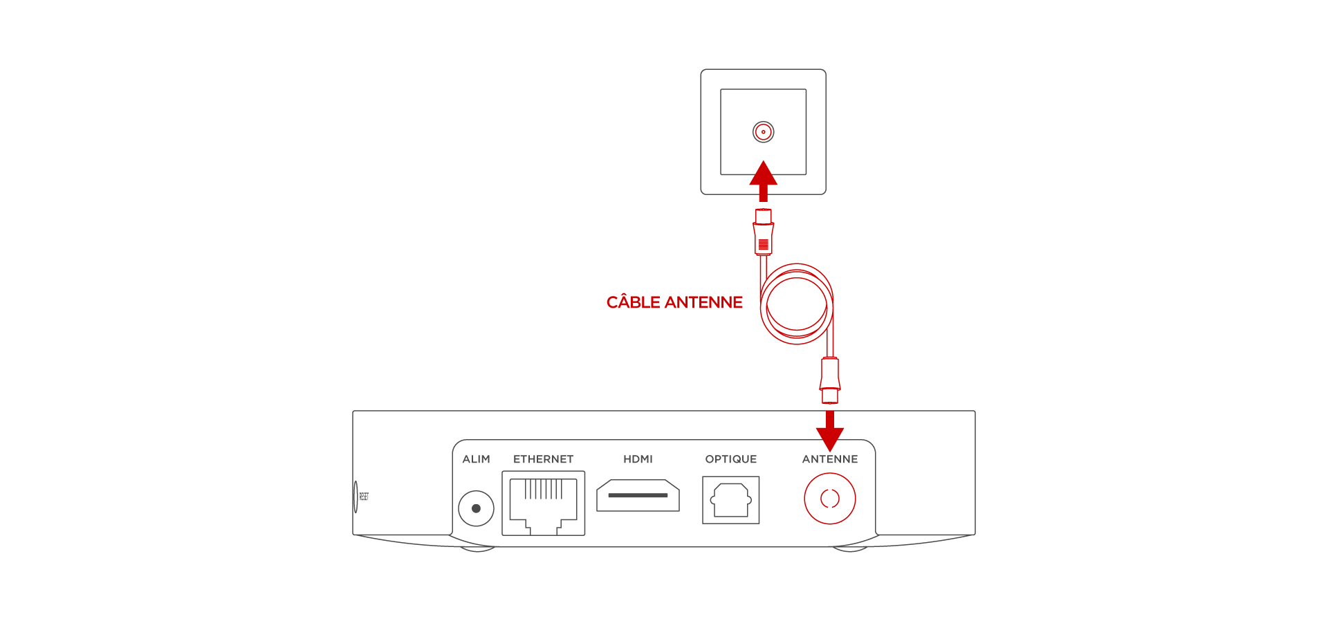 Accéder à la TNT depuis ma Freebox - Branchement antenne