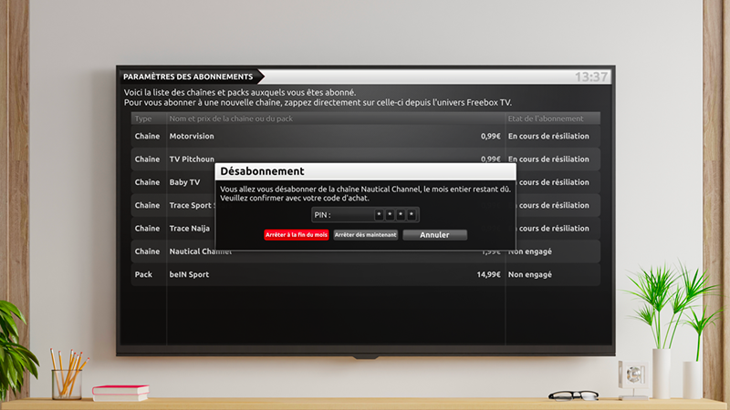 Résilier une chaîne payante - Choix de l'arrêt