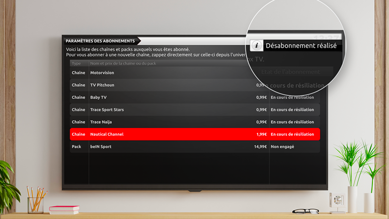 Résilier une chaîne payante - Message de confirmation